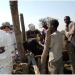 ザンビア共和国における環境汚染調査とシンポジウムの参加